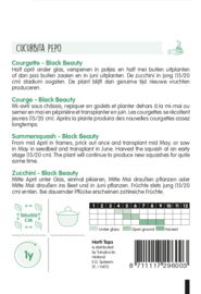 Courgette groen Black Beauty 2960