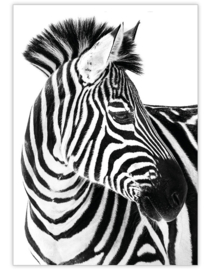 Kaart | Zebra