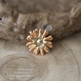 Broche | Sweet Daisy
