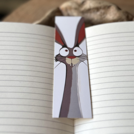 Boekenleggers | Cartoon (2)