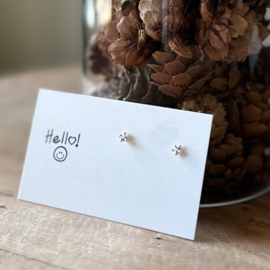Oorbellen | Mini studs