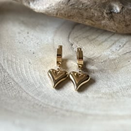 Oorbellen | Hart