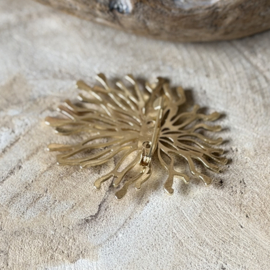 Broche | Coral Glow