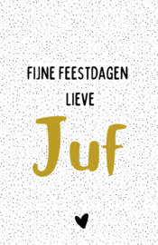 Minikaart | Fijne feestdagen juf