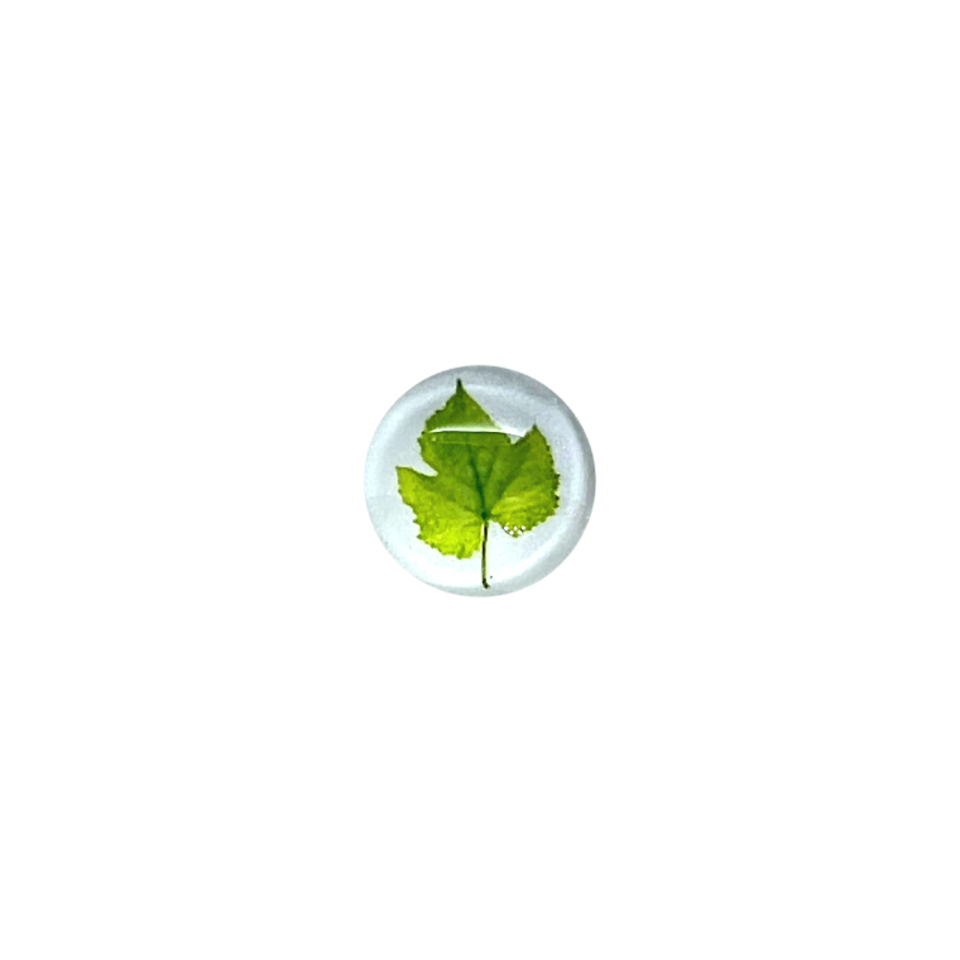 Kaartpin | Leaves
