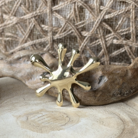 Broche | Splash