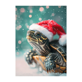 Kaart | Schildpad