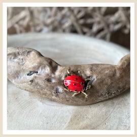 Broche | Lieveheersbeestje