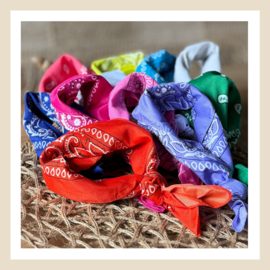 Bandana | Color splash