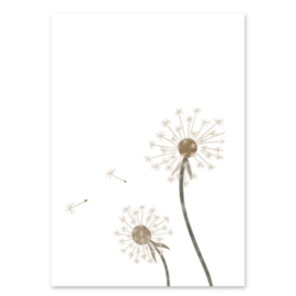 Kaart | Wensbloem