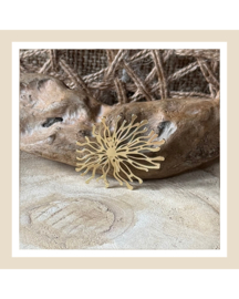 Broche | Coral Glow