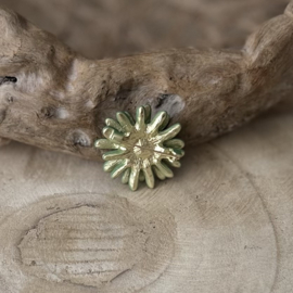 Broche | Sweet Daisy