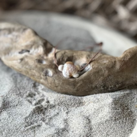 Enkelbandjes | Beach life