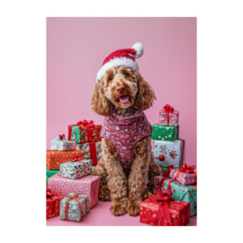 Kaart | Labradoodle