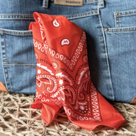 Bandana | Color splash
