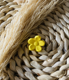 Haarspeldjes | Bloemetje kleur