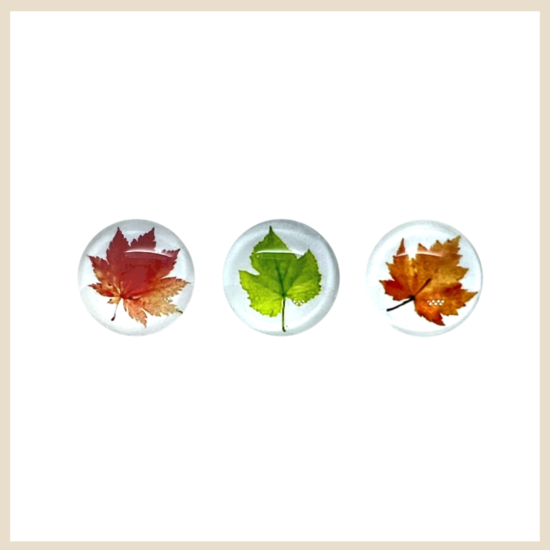 Kaartpin | Leaves