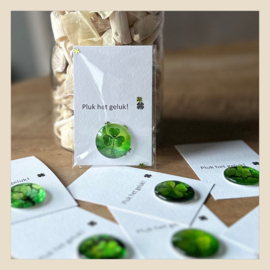 Minikaart | Pluk je geluk+glazen cabuchon klaver 4