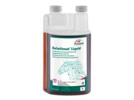 Primeval Gelatinaat Liquid 1 ltr