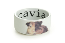 BZ SNAPSHOT CAVIA