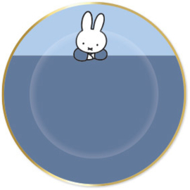 Plates Miffy with gold accent