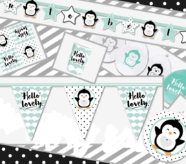 Babyparty in a box "Hello Lovely" zwart/mint (16 pers)