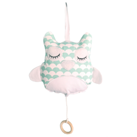 Muziekdoos uil mint 