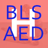 Herhalingscursus BLS/AED