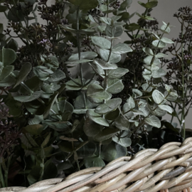 Eucalyptus tak 'kunst' (L 83 cm)