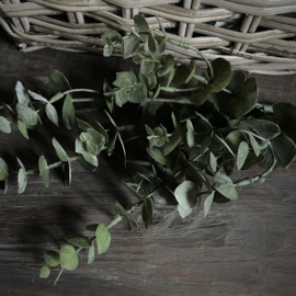 Eucalyptus tak 'kunst' (L 83 cm)