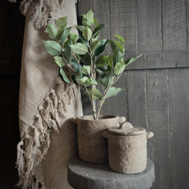 Ficus 'kunstplant' (52 cm)