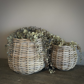 Eucalyptus 'kunst' toef (L 95 cm)