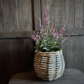 Kunst Salvia (45 cm)
