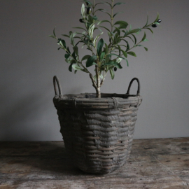 Sobere mand M (H 37 cm)