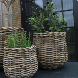 Rattan mand rond M (H 23 cm)