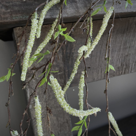 Betula Pendula wit 'kunst' tak (L 137 cm)