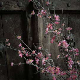 Lente tak 'Sakura' (86 cm)