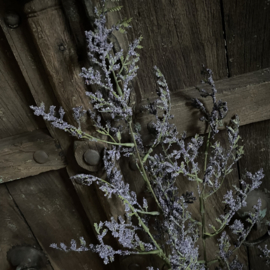 Limonium kunst tak (90 cm)