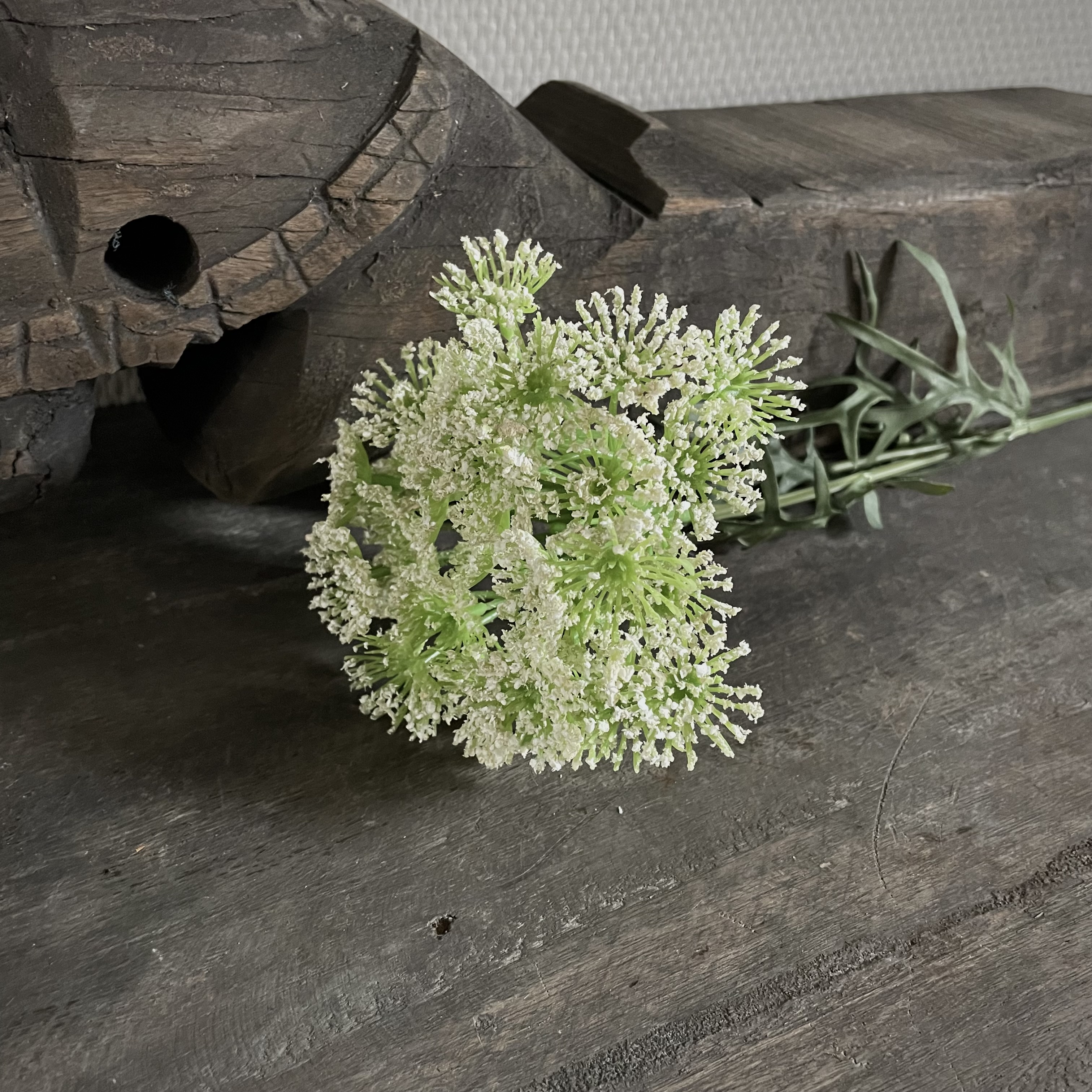 Dille Blossom Spray 'kunst' tak (L 59 cm)