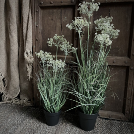 Gras/ wildwortel  'kunstplant' M (H 60 cm)