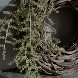 Asparagus 'kunst' tak L (L 100 cm)