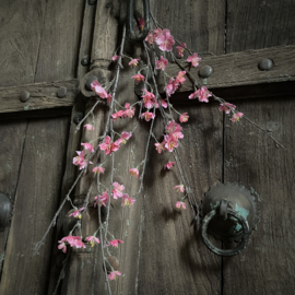 Lente tak 'Sakura' (86 cm)