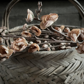 Zijden bloesemtak 'Cappuchino' (120 cm)