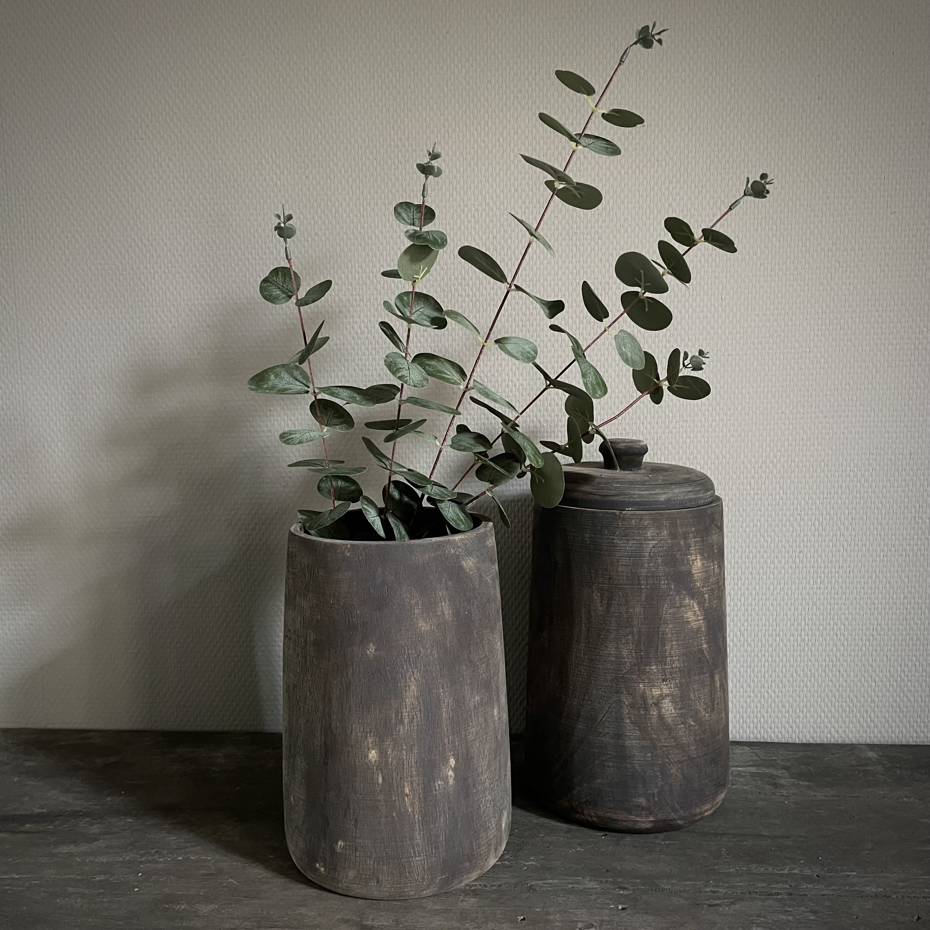 Eucalyptus 'populus' 'kunst' (L 100 cm)