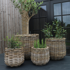 Rattan mand rond M (H 23 cm)