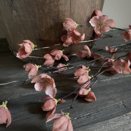Magnolia stelata brown 'kunst' tak (L 113 cm)