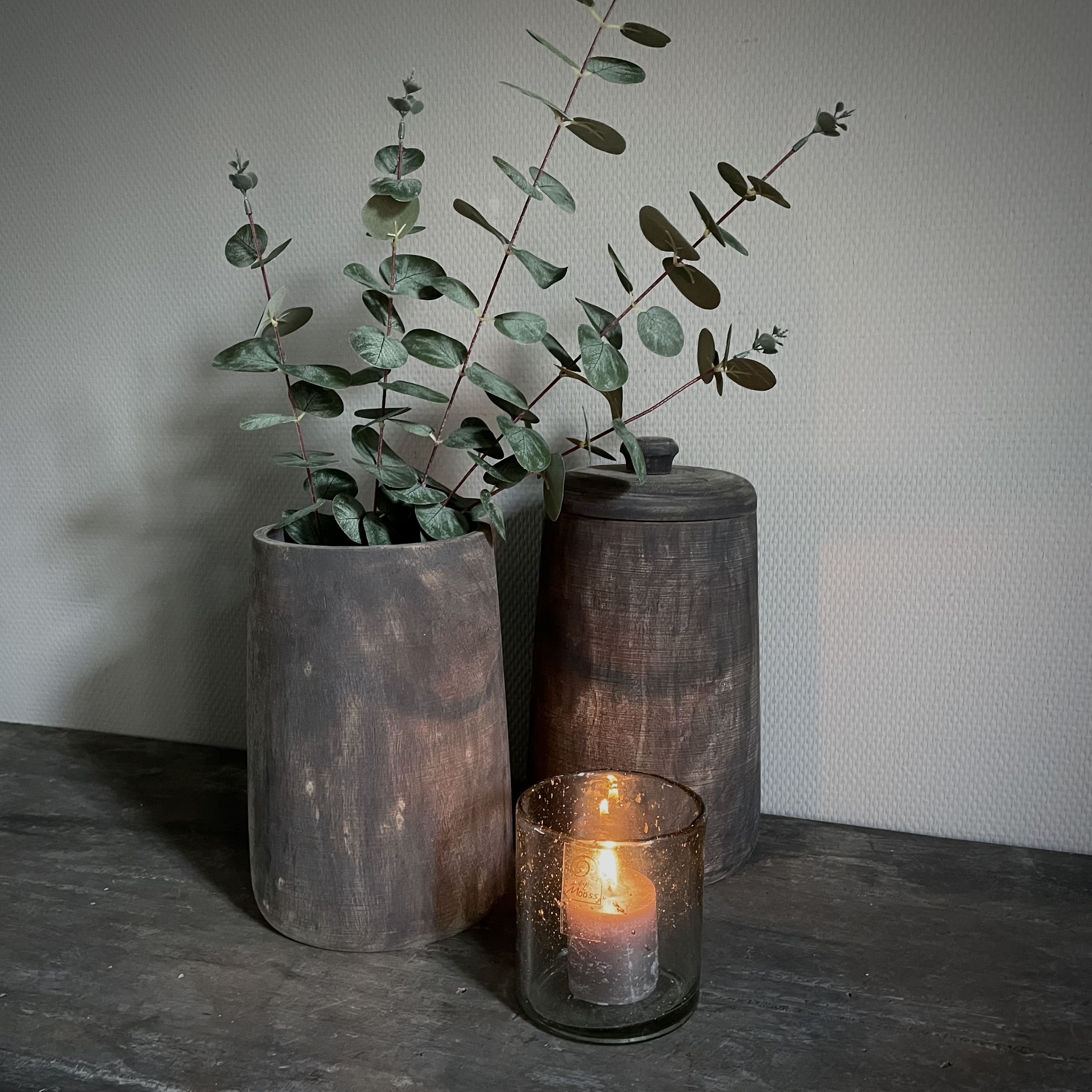 Eucalyptus 'populus' 'kunst' (L 100 cm)