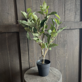 Ficus 'kunstplant' (52 cm)