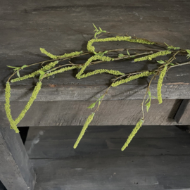 Salix tak 'kunst' (L 87 cm)