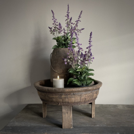 Lavendel in pot 'kunst' (H 45 cm)